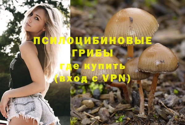 Альфа ПВП Абдулино
