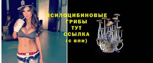 трава Абаза