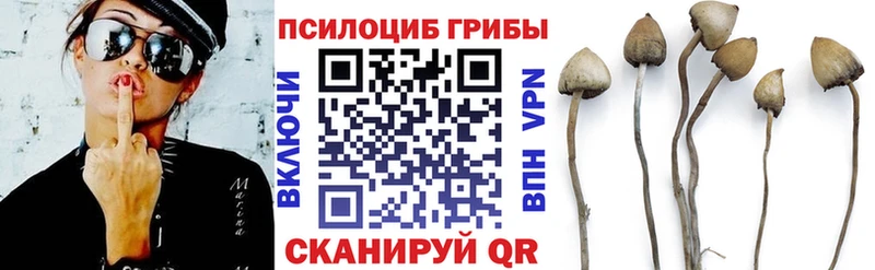Псилоцибиновые грибы мицелий  где найти   Норильск 