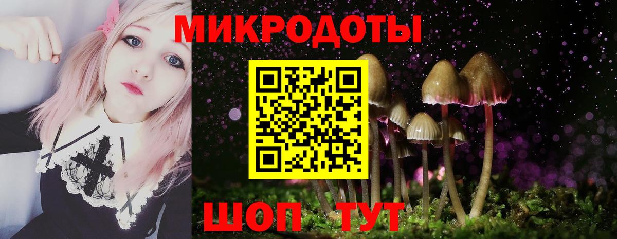Галлюциногенные грибы Psilocybine cubensis  Вход с VPN  Норильск 